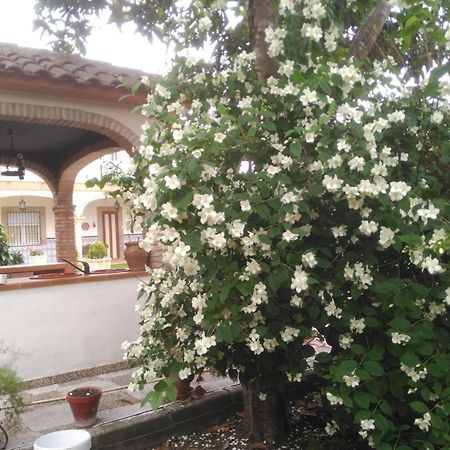 巴埃萨Vivienda Turistica Rural Mari Carmen别墅 外观 照片