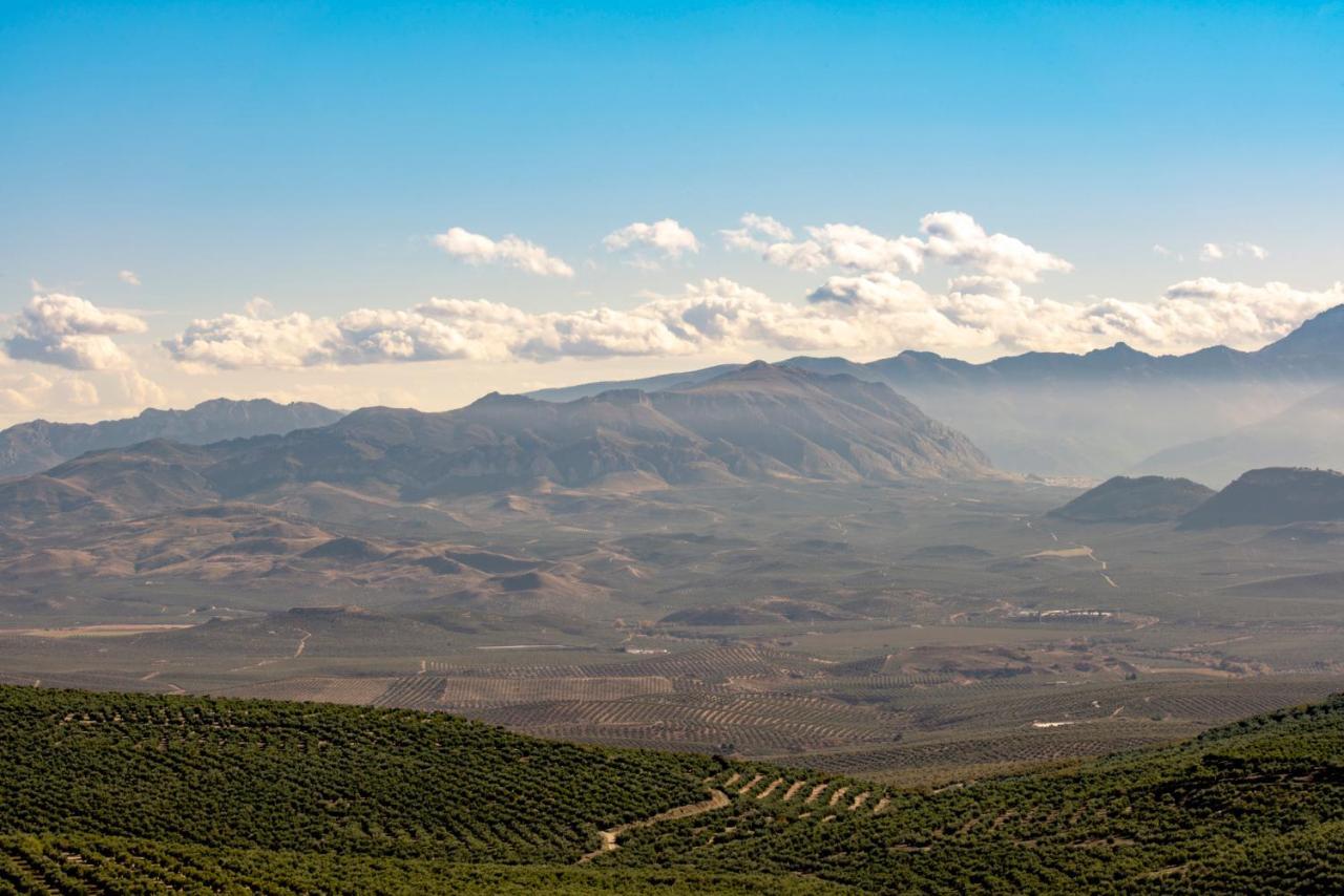 巴埃萨Vivienda Turistica Rural Mari Carmen别墅 外观 照片