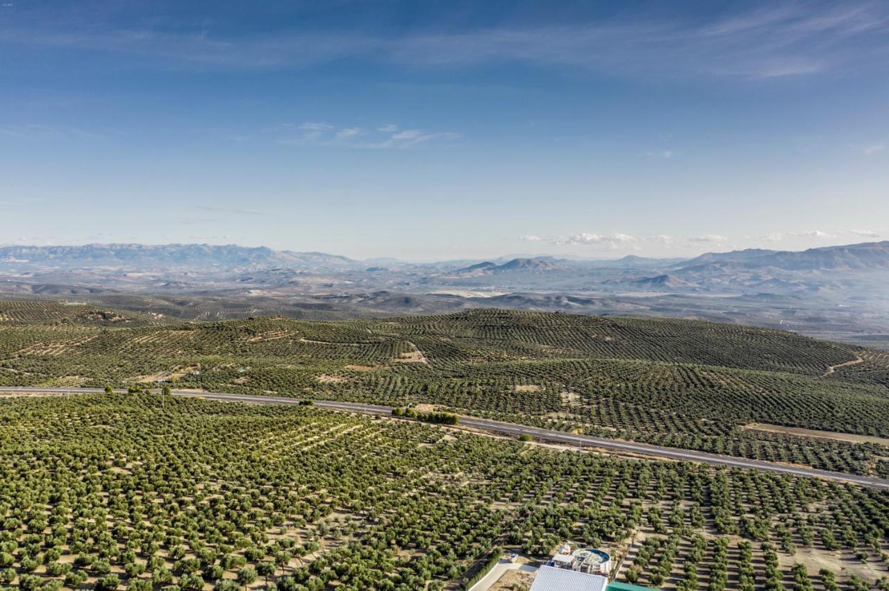 巴埃萨Vivienda Turistica Rural Mari Carmen别墅 外观 照片